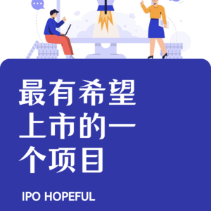 最有希望上市的一个项目