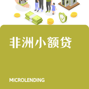 非洲小额贷 Microlending